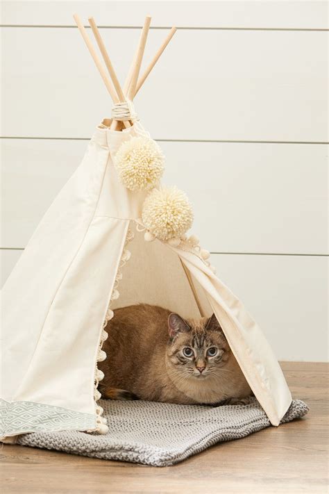 homemade cat tent teepees.